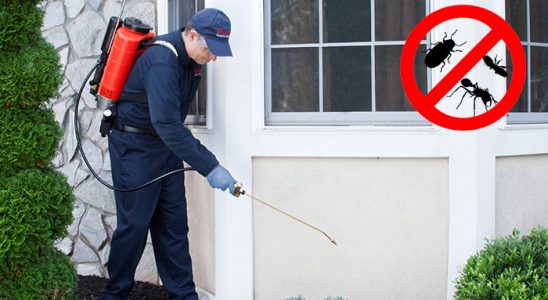 Yeniçağa Gümüşkurt İlaçlama böcek ilaçlama ve haşere kontrolü — ilaclama-tr.com